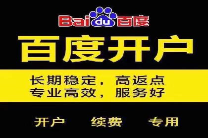 百度竞价SEM实战技巧：案例分析及效果评估